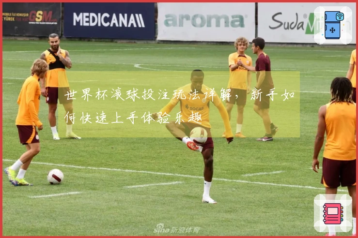 世界杯滚球投注玩法详解，新手如何快速上手体验乐趣