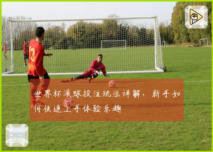 世界杯滚球投注玩法详解，新手如何快速上手体验乐趣