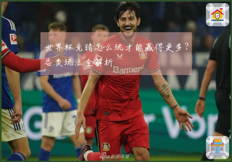 世界杯竞猜怎么玩才能赢得更多？各类玩法全解析