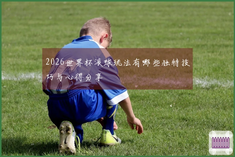 2026世界杯滚球玩法有哪些独特技巧与心得分享