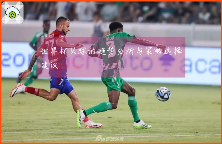 世界杯买球的趋势分析与策略选择建议